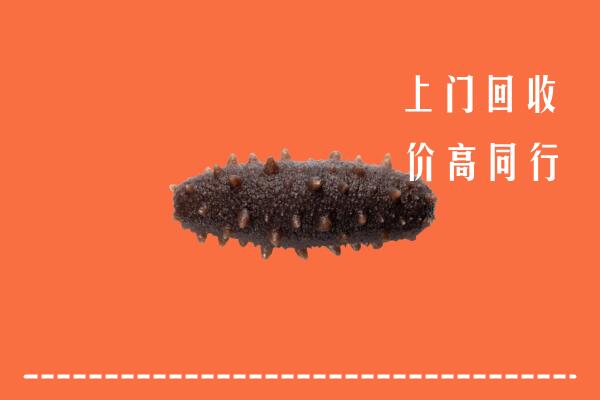 天津静海区回收海参